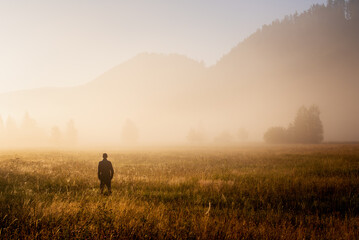 Naklejka na ściany i meble Man standing in a misty field looking to the future. Autumn morning and sunshine on a misty field.