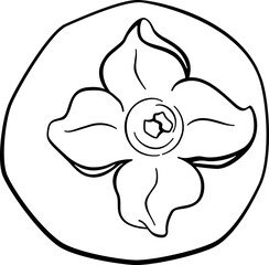 Persimmon, sweet autumn fruit - vector linear picture for coloring. Persimmon fruit for logo, pictogram or coloring book. Outline