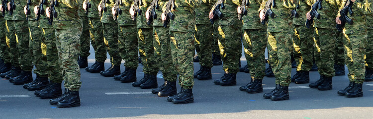 Soldiers standing in row in camouflage uniforms