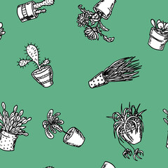 Seamless pattern with flowers, cactus and plants in flower pots on green color background