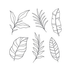 Set of Hand drawn tropical leaves element. Vector illustration isolated on white background