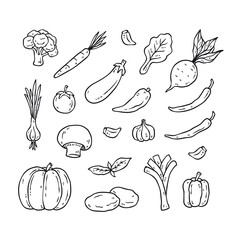 Set of hand drawn vegetable outline icons. healthy food doodles