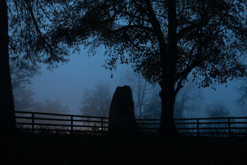 Monument and trees at night in the fog and a blue haze