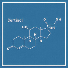 Cortisol Hormone Structural chemical formula
