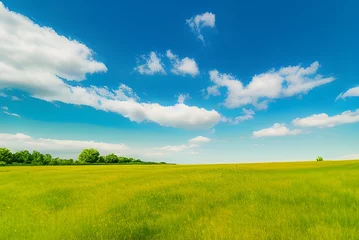 Foto op Canvas 草原と地平線 © CrioStudio