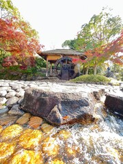 Obraz premium waterfall in autumn