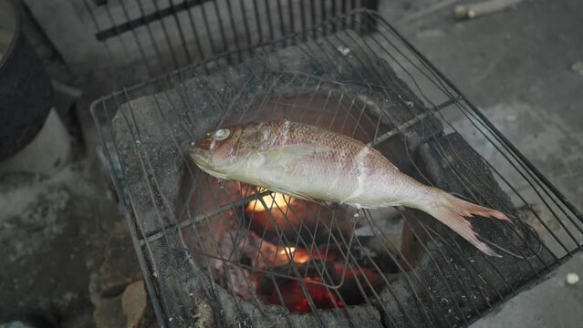 Grill Whole Fish (Ikan Bakar) Fresh from The Sea Using Traditional Griller
