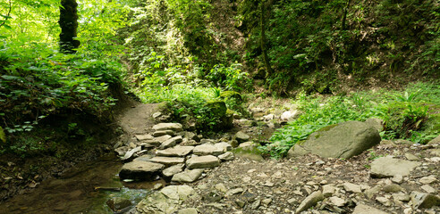 Water surrounded by large granite stones. Wildlife of Sochi, forest and forest reservoir.