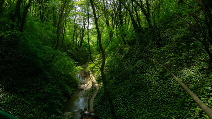 Forest waterfall in Sochi, Russia. Berendeyevo kingdom tourist trail.