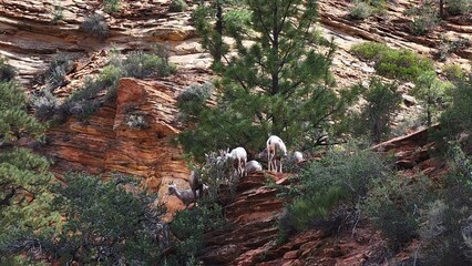 Zion National Park, Utah - September 2022