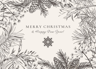 Christmas card with fir and pine branches, cones, dried grasses. Botanical illustration. Vector holiday card. Black and White. Sketch.