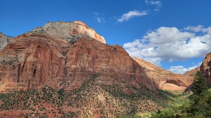 Fototapeta premium Zion National Park, Utah - September 2022
