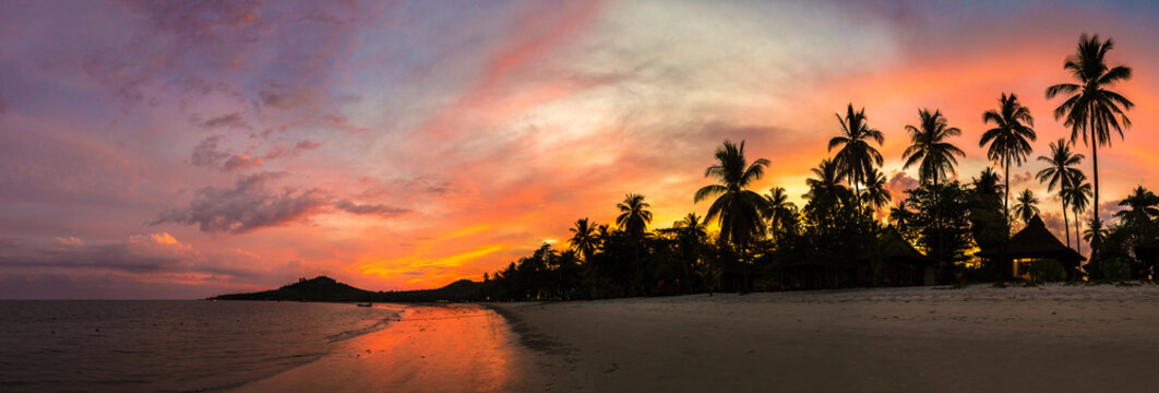 Silhouette palm at sunset