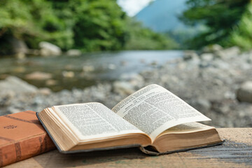 自然の中で読書