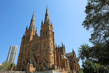 Fototapeta na wymiar View at St Mary's Cathedral - Sydney, Australia
