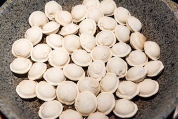 Fried meat dumplings fried on the pan. traditional russian cusine