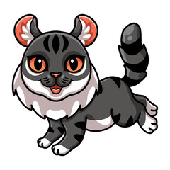 Cute American curl cat cartoon 