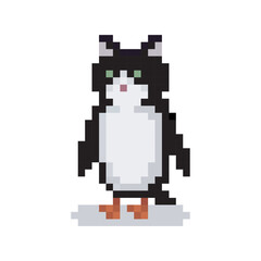 Obraz premium Penguin cat icon, pixel art meme