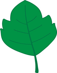 green leaf