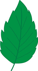 green leaf