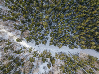 Flight over the winter mountains with road serpentine and pine forest. Top down view. Landscape photography