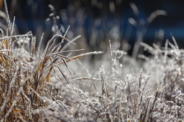 Badkamer foto achterwand Frozen meadow © Galyna Andrushko