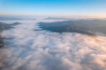 sunrise in the forest