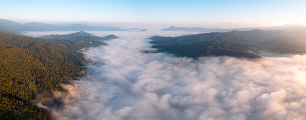 sunrise in the forest