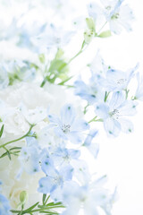 花　喪中　葬式　悲しみ　白　背景　青い花