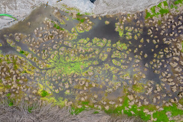 View of swamp with dry grass hills. Home for some birds.