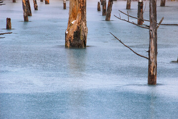 凍った青い池
