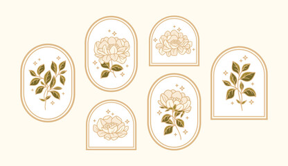 Set of hand drawn vintage retro botanical feminine peony flower, leaf branches, and frame line art logo elements