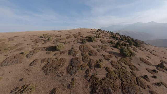 Aerial view SUV on desert mountain peak surrounded by picturesque rocky wild landscape panorama. FPV sports drone shot car touristic automobile road trip adventure at cliff dry plant trees sky scenery