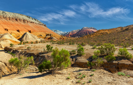 「Altyn」の画像 1,913 件の Stock 写真、ベクターおよびビデオ Adobe Stock