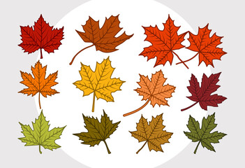 Maple Leaf SVG Bundle, Leaf Silhouette, Fall Leaves Svg, Autumn Leaves Svg, Thanksgiving Svg,