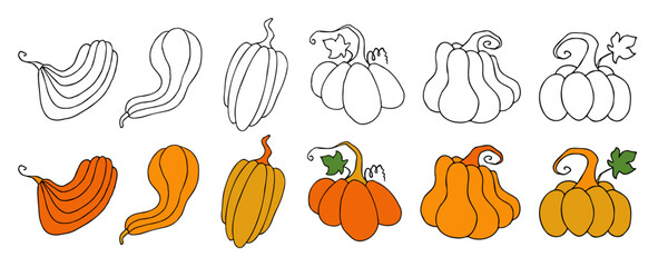 Autumn design template, hand drawn pumpkins, flat vector illustration