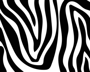 vector seamless zebra skin
