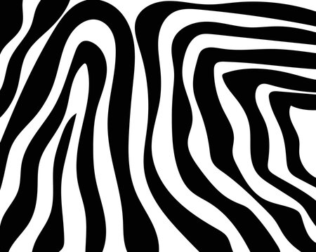vector zebra skin pattern.