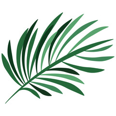green branch vector illustration thin leaves