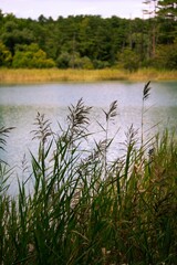 landscapes of Fukushima,prf in Tohoku district.