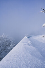 Fototapeta premium The road through the winter, snowy forest. Trees in the snow. Snow hidden path, fog.