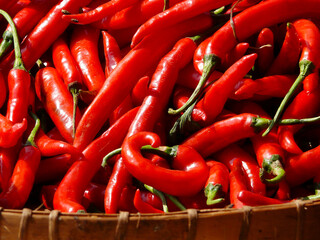 Chili peppers, from Nahuatl chīlli, are varieties of the berry-fruit of plants from the genus...