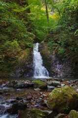 Fototapeta premium 風挙の滝