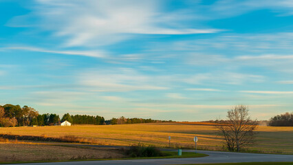 Autumn landscape with trees and clouds on the horizon on a blue sky with copy space.