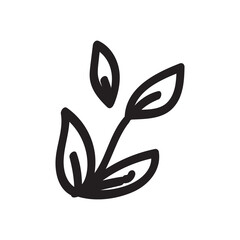 Hand drawn doodle botanical elements.