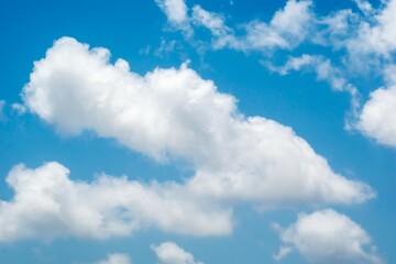 Naklejka na ściany i meble White fluffy cumulus clouds on a bright blue sky background.