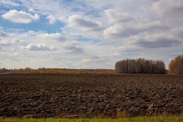 A plowed field in October. Agriculture in the Sverdlovsk and Tyumen regions in Russia