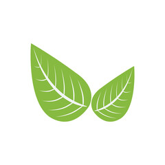 Green leaf vector