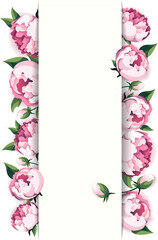 botanical banner with peonies