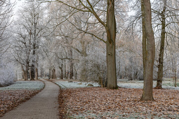 Hoar frost on trees and grass in a park with a footpath